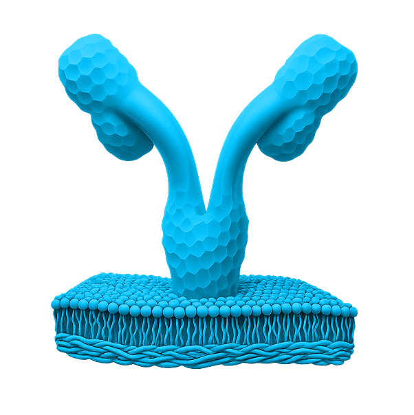 Y-shaped antibody icon representing immunology