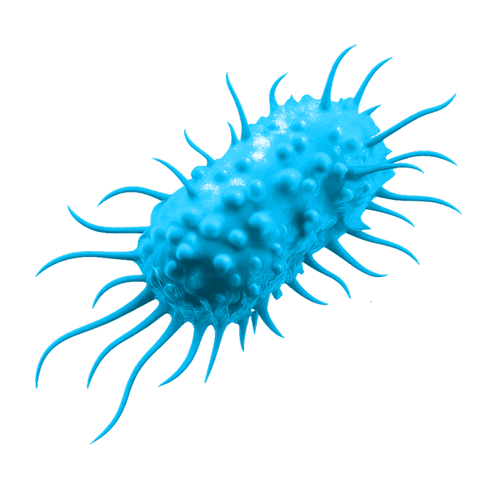 Spiky microbe icon symbolizing multimodal therapies