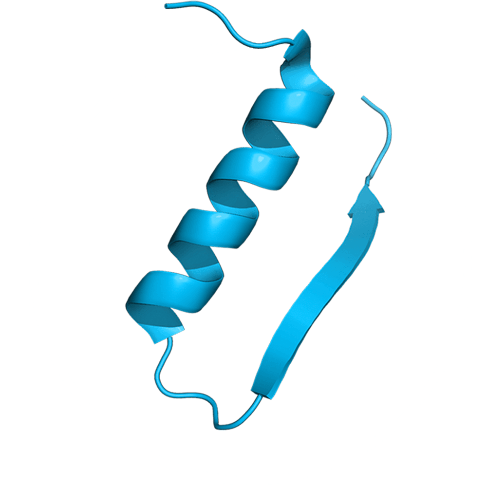 Stylized peptide helix illustrating the versatility of peptide molecules